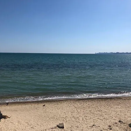 морская жемчужина *